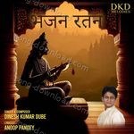 Bhajan Ratan - Dinesh Kumar Song Download
